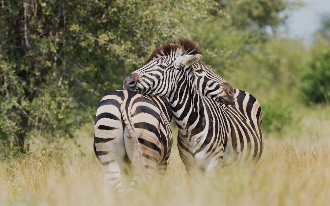 5 Tips om te bouwen aan een geslaagde werkrelatie met nieuwe werknemers