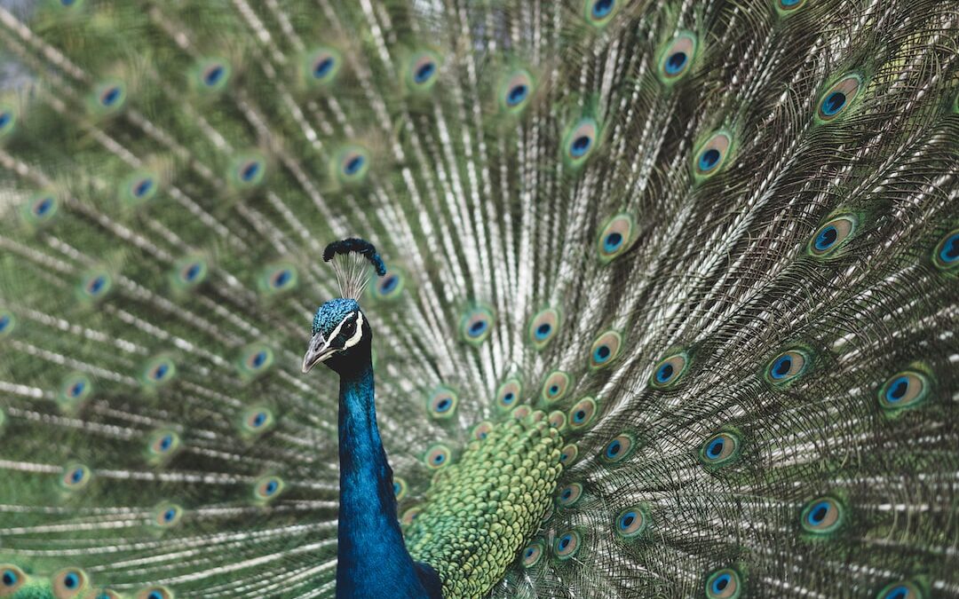 Trotse medewerkers zijn het visitekaartje van je bedrijf